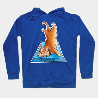 Yoga Corgi Hoodie